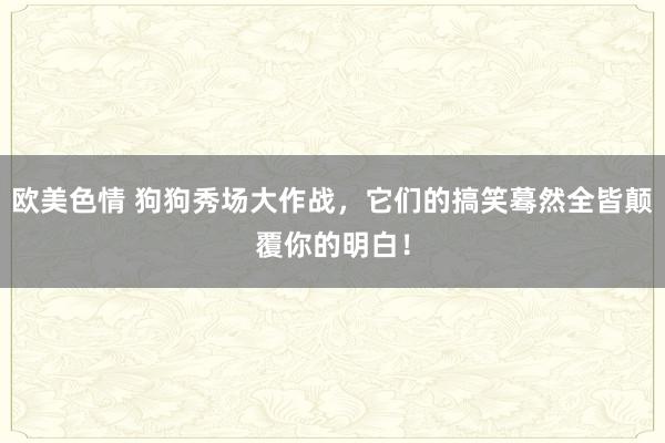 欧美色情 狗狗秀场大作战，它们的搞笑蓦然全皆颠覆你的明白！