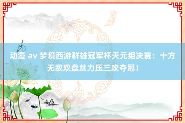 动漫 av 梦境西游群雄冠军杯天元组决赛：十方无敌双盘丝力压三攻夺冠！