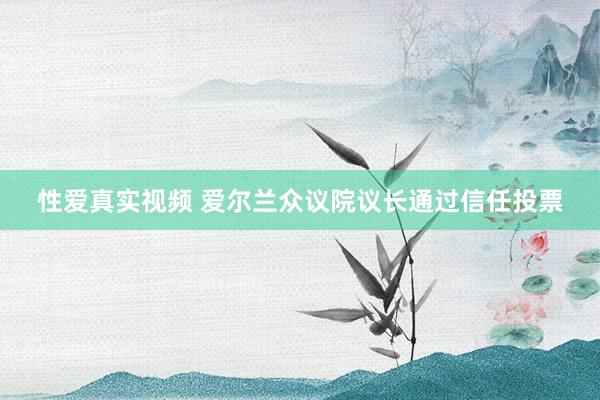 性爱真实视频 爱尔兰众议院议长通过信任投票