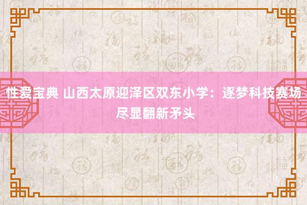 性爱宝典 山西太原迎泽区双东小学：逐梦科技赛场 尽显翻新矛头