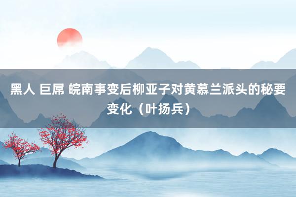 黑人 巨屌 皖南事变后柳亚子对黄慕兰派头的秘要变化（叶扬兵）