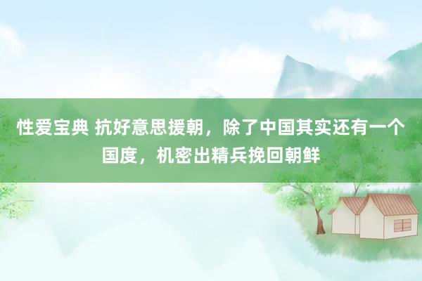 性爱宝典 抗好意思援朝，除了中国其实还有一个国度，机密出精兵挽回朝鲜