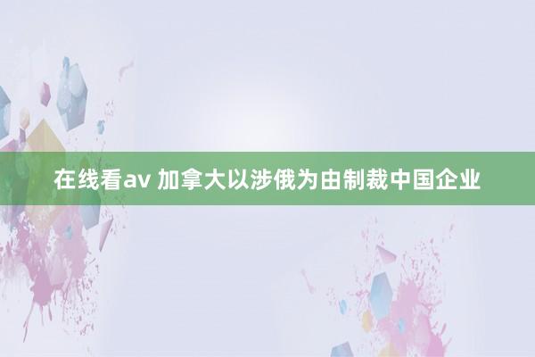 在线看av 加拿大以涉俄为由制裁中国企业