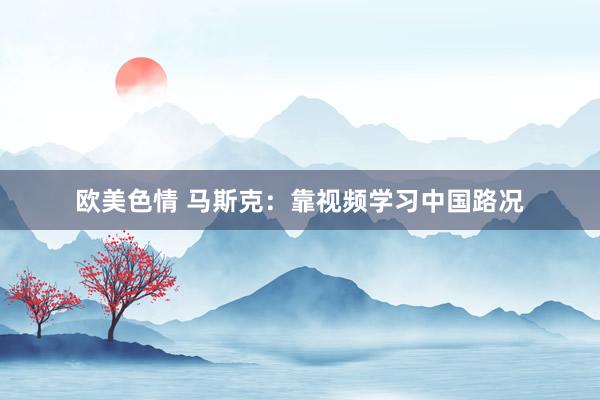 欧美色情 马斯克：靠视频学习中国路况