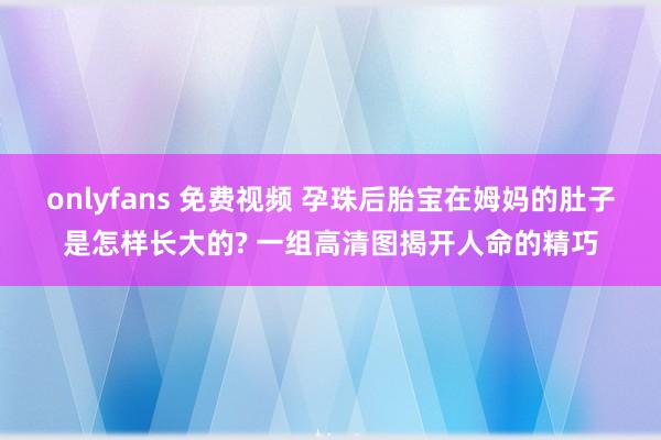 onlyfans 免费视频 孕珠后胎宝在姆妈的肚子是怎样长大的? 一组高清图揭开人命的精巧