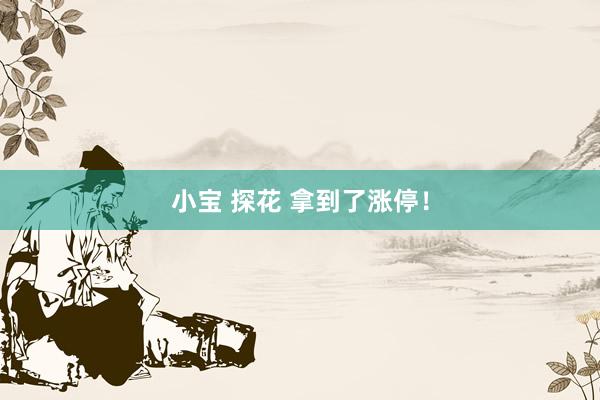 小宝 探花 拿到了涨停！