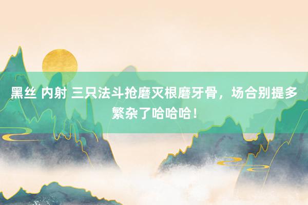 黑丝 内射 三只法斗抢磨灭根磨牙骨，场合别提多繁杂了哈哈哈！